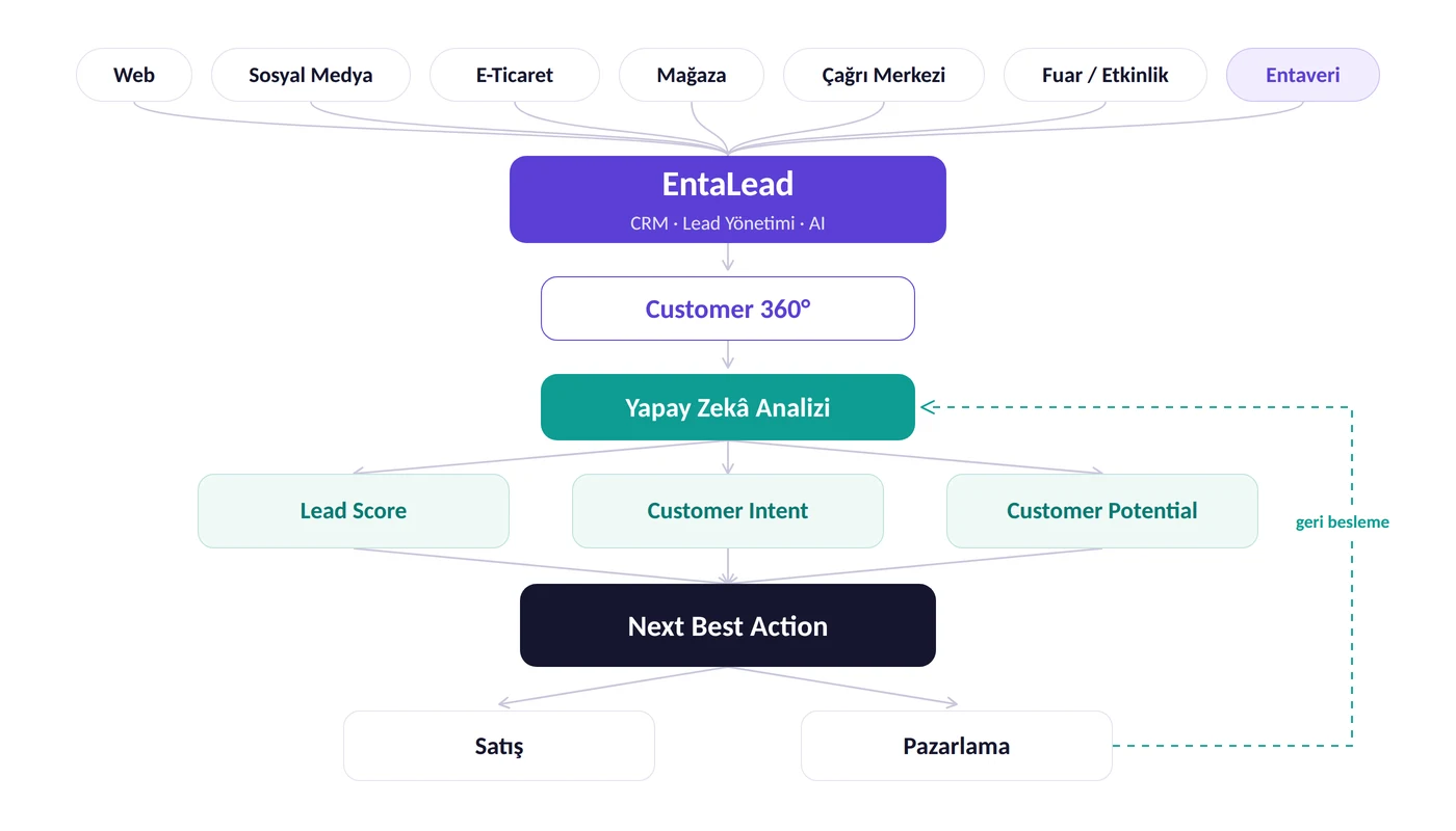 EntaLead akış şeması: web, sosyal medya, e-ticaret, mağaza, çağrı merkezi, fuar ve Entaveri kaynaklarından gelen veri EntaLead'de birleşir; Customer 360° profili yapay zekâ analiziyle lead score, customer intent ve customer potential çıktılarına dönüşür; Next Best Action satış ve pazarlama aksiyonuna çevrilir ve sonuç geri besleme olarak analize döner